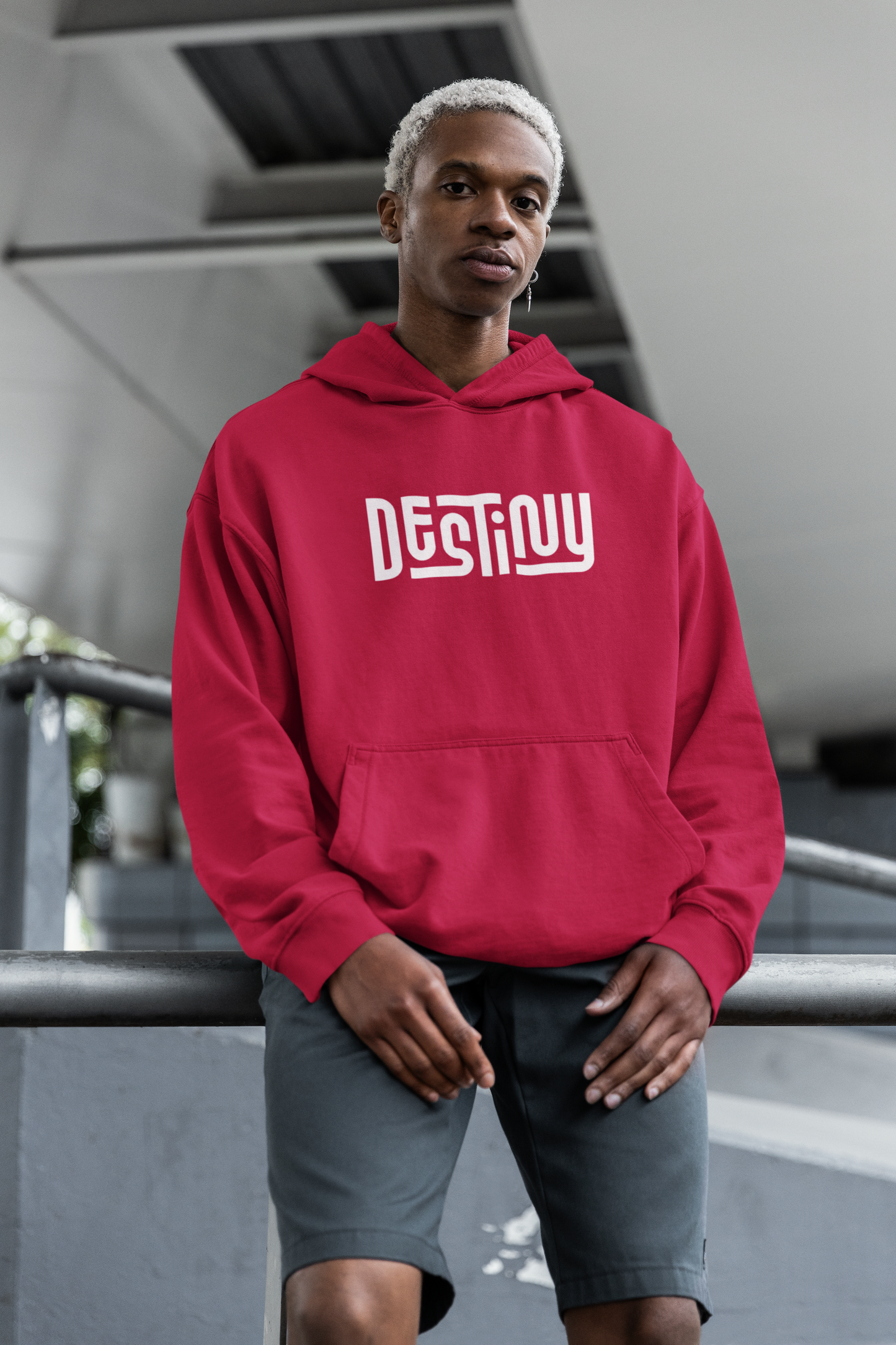 DESTINY HOODIE